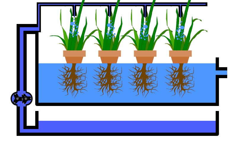 Drip System
