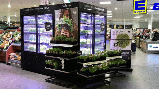 Edeka Hydroponics