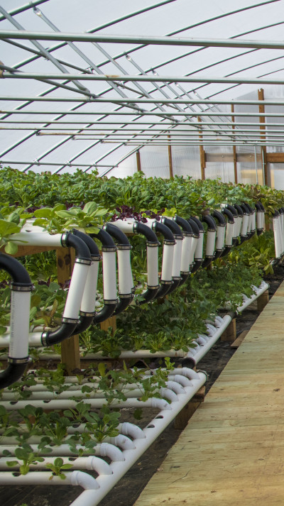 Hydroponic vertical farm select