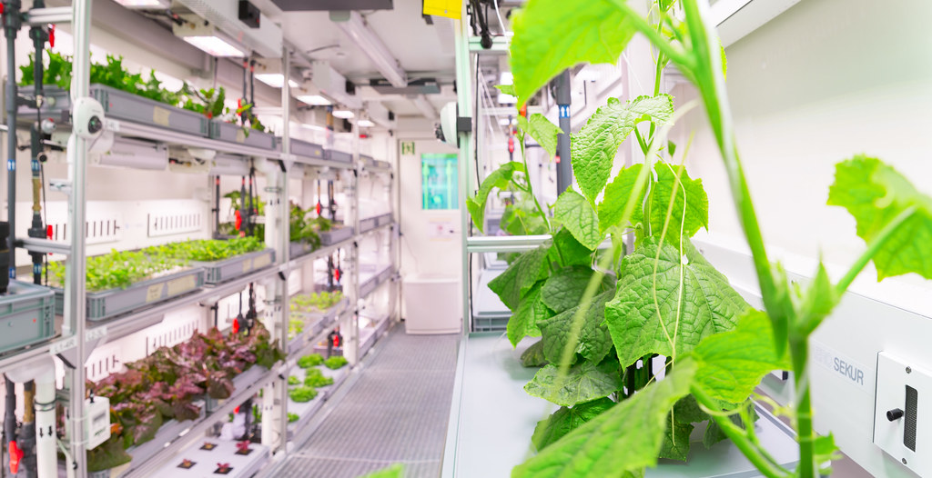 Hydroponics