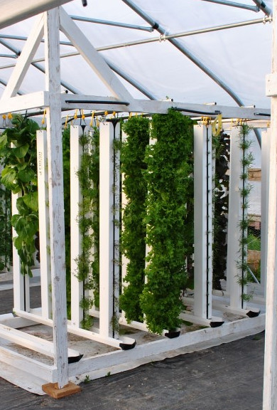 Hydroponic vertical farm select