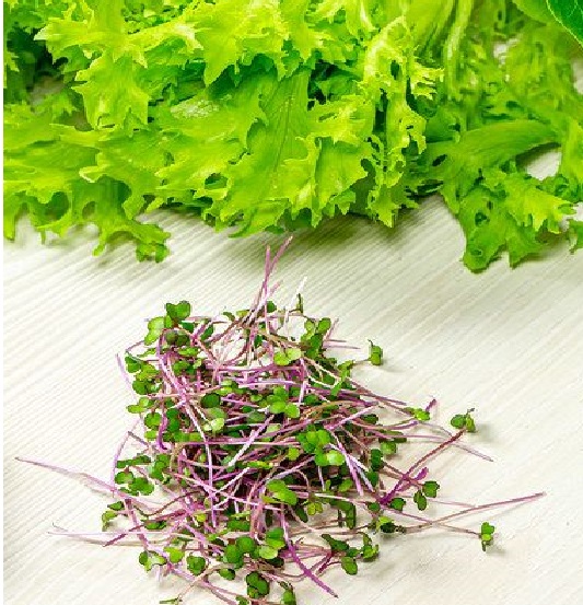 Salat2 Microgreens