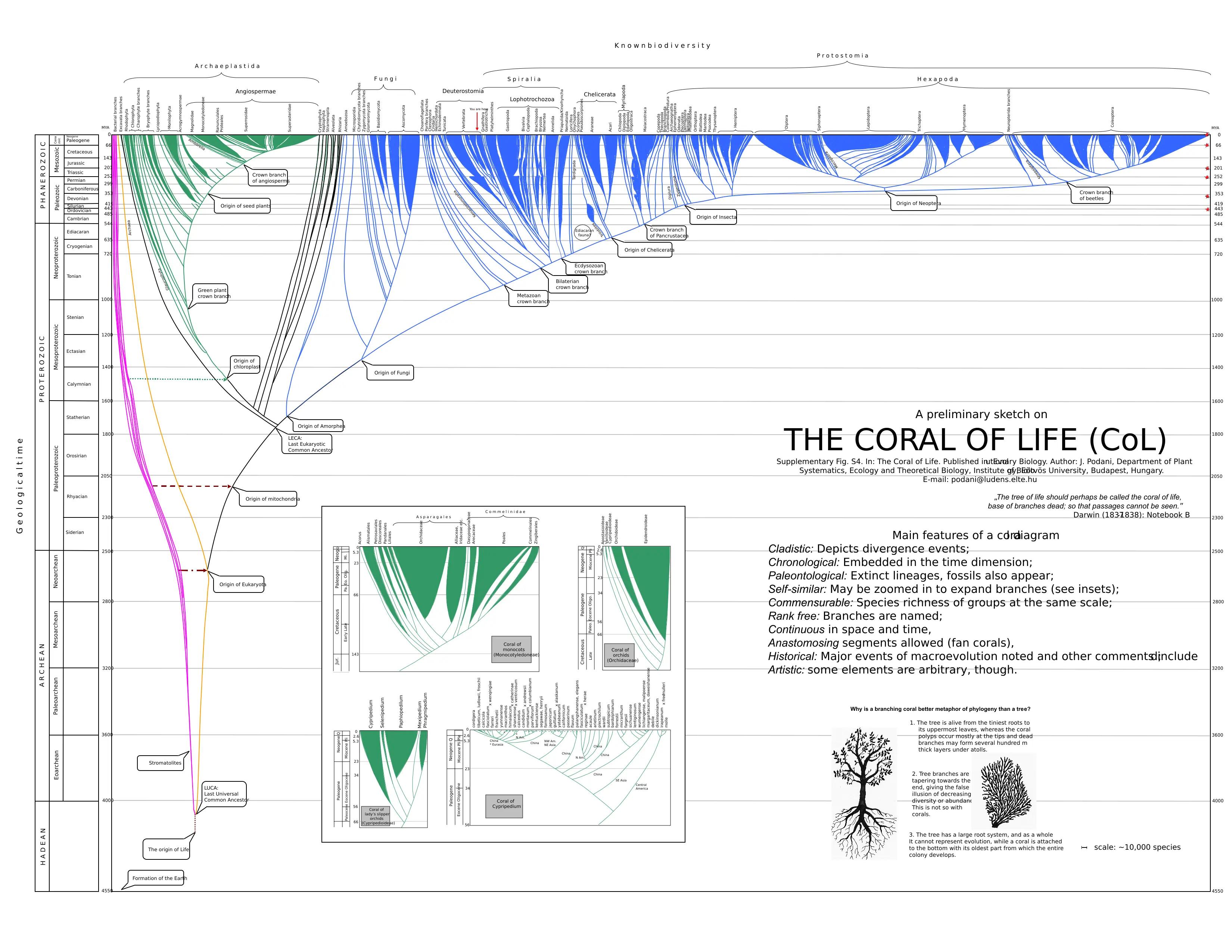 The Coral Of Life Prototype